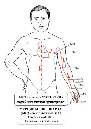 Точка мс 4. Канал перикарда акупунктурные точки. Меридиан перикарда точки. Меридиан перикарда точка mc6. Меридиан перикарда в китайской медицине.